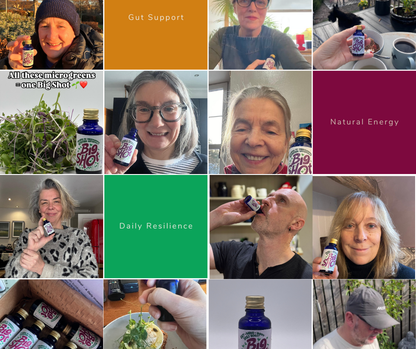 Big Shot – Fermented Microgreen Shots | 7 x 30ml bottles (Limited Small Batch)