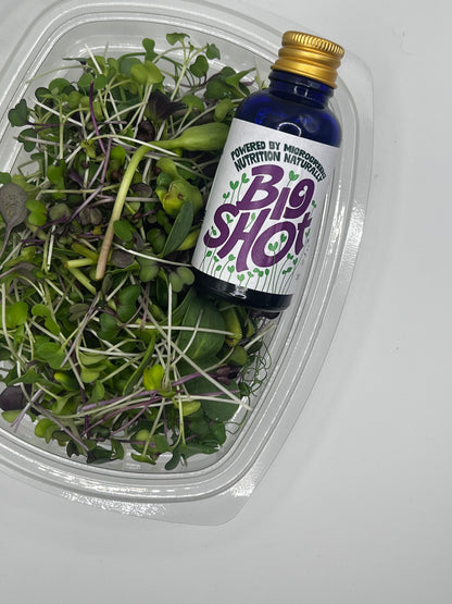 Big Shot – Fermented Microgreen Shots | Summer Special – Subscribe from £19.95/week