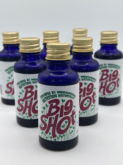 Big Shot – Fermented Microgreen Shots | 7 x 30ml bottles (Limited Small Batch)