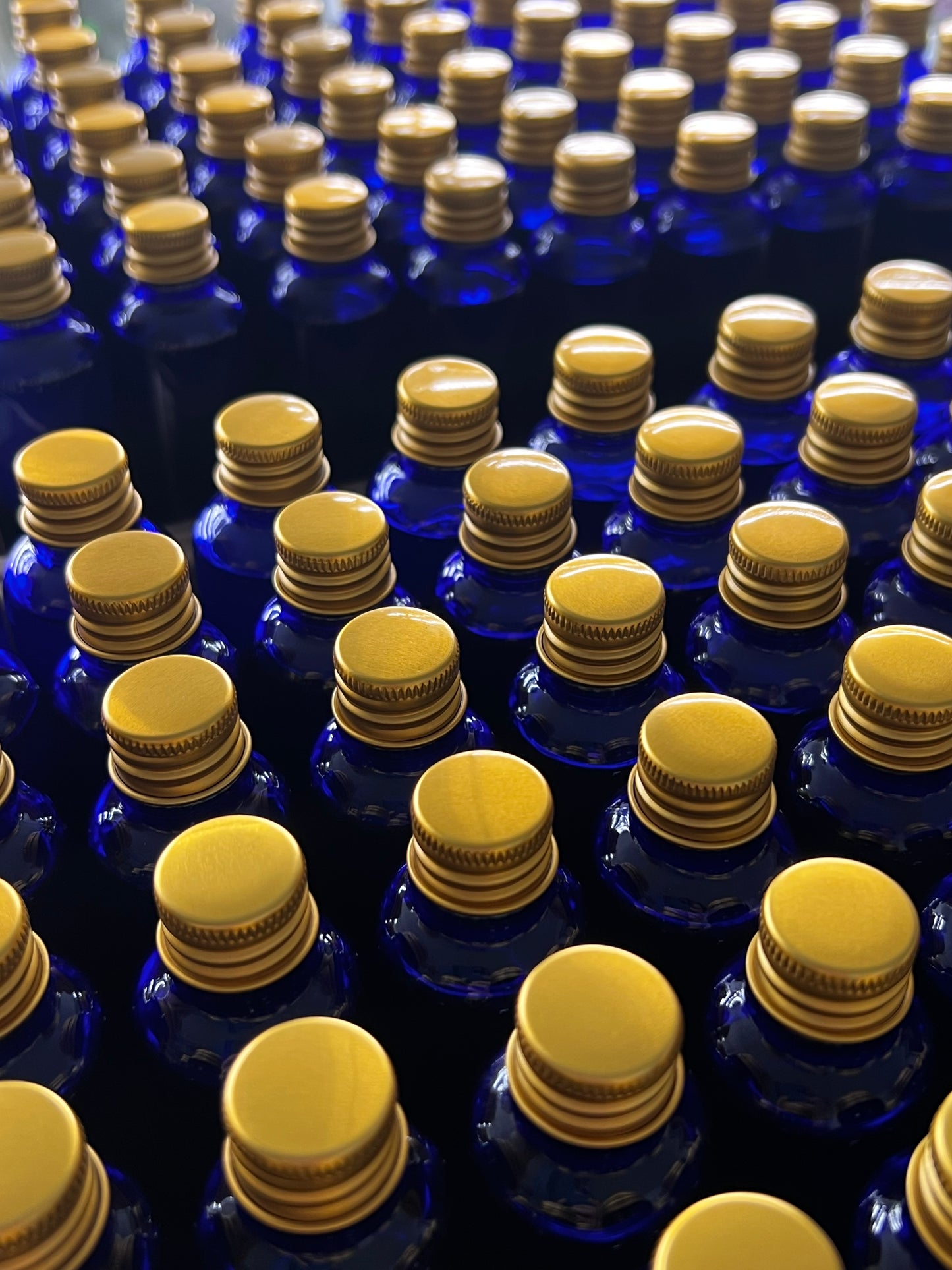 Big Shot – Fermented Microgreen Shots | Summer Special – Subscribe from £19.95/week