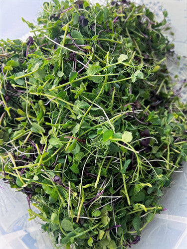 Then I found microgreens.