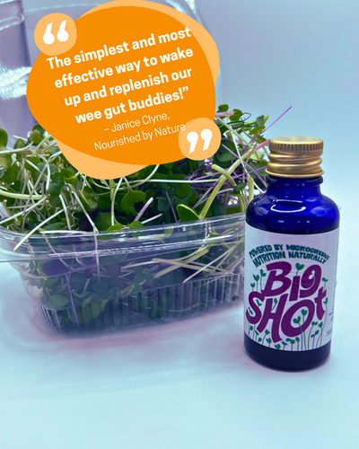 Big Shot – Fermented Microgreen Shots | 7 x 30ml bottles (Limited Small Batch)